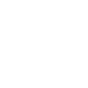 SafeIcon